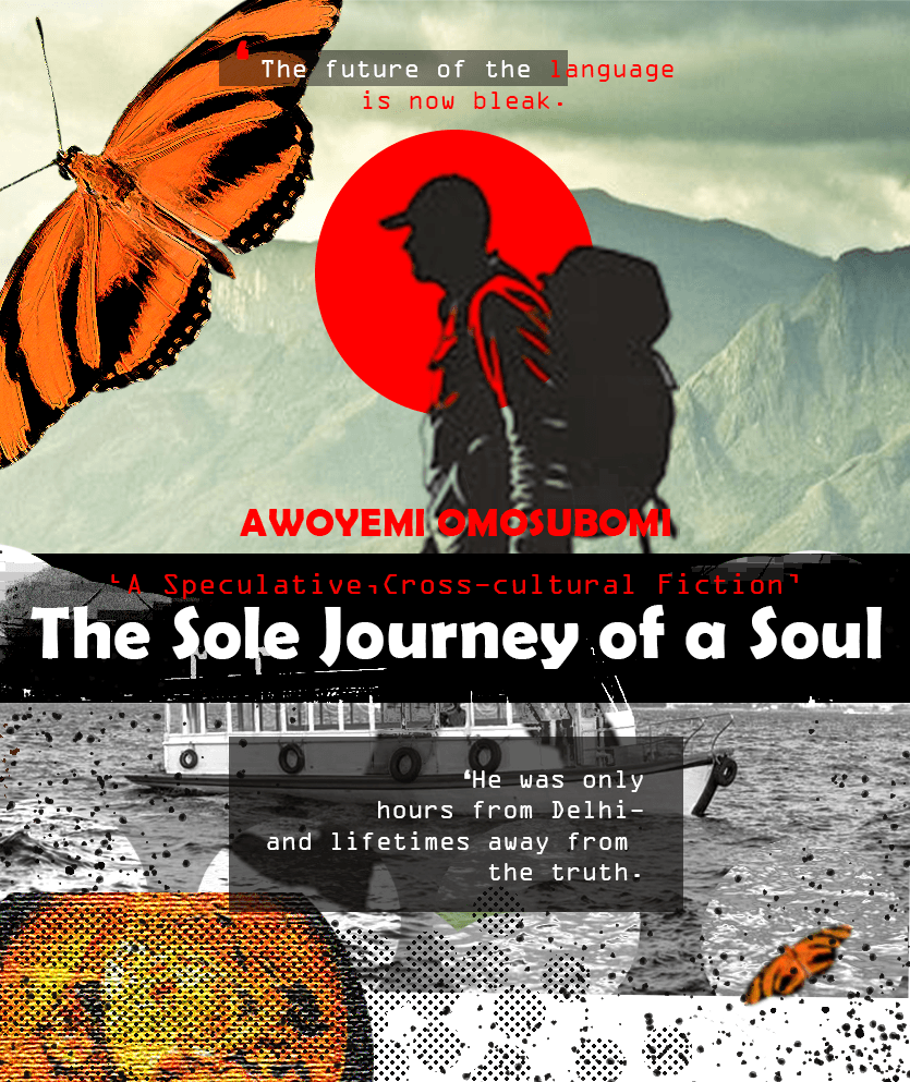 Cover of The Sole Journey of a Soul
